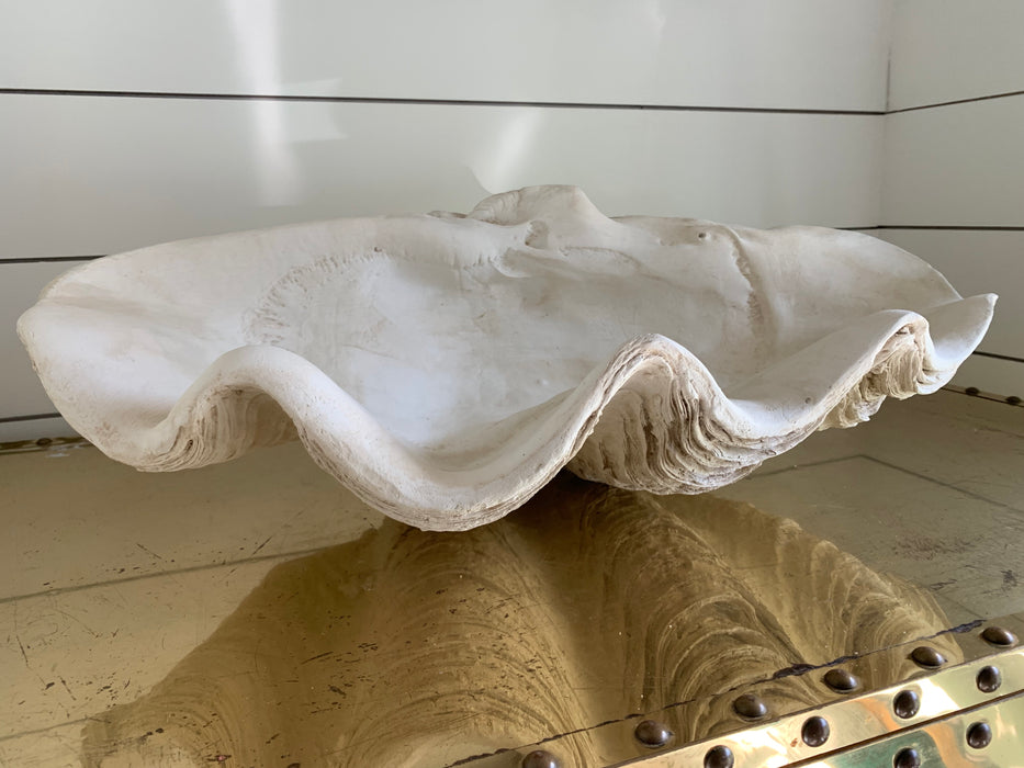Large Faux Decorative Shell – One of a Find Charleston