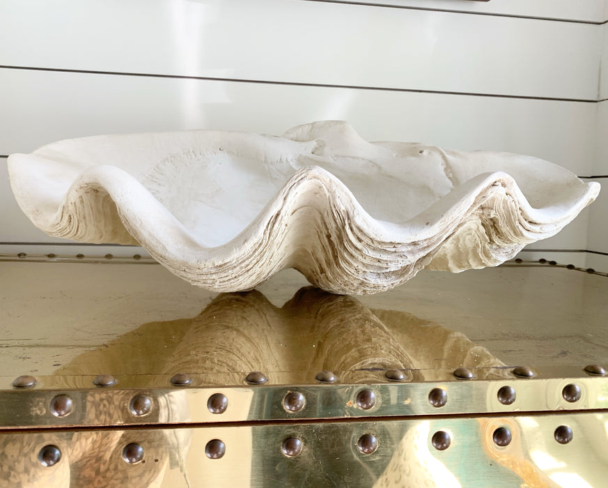 Large Faux Decorative Shell – One of a Find Charleston