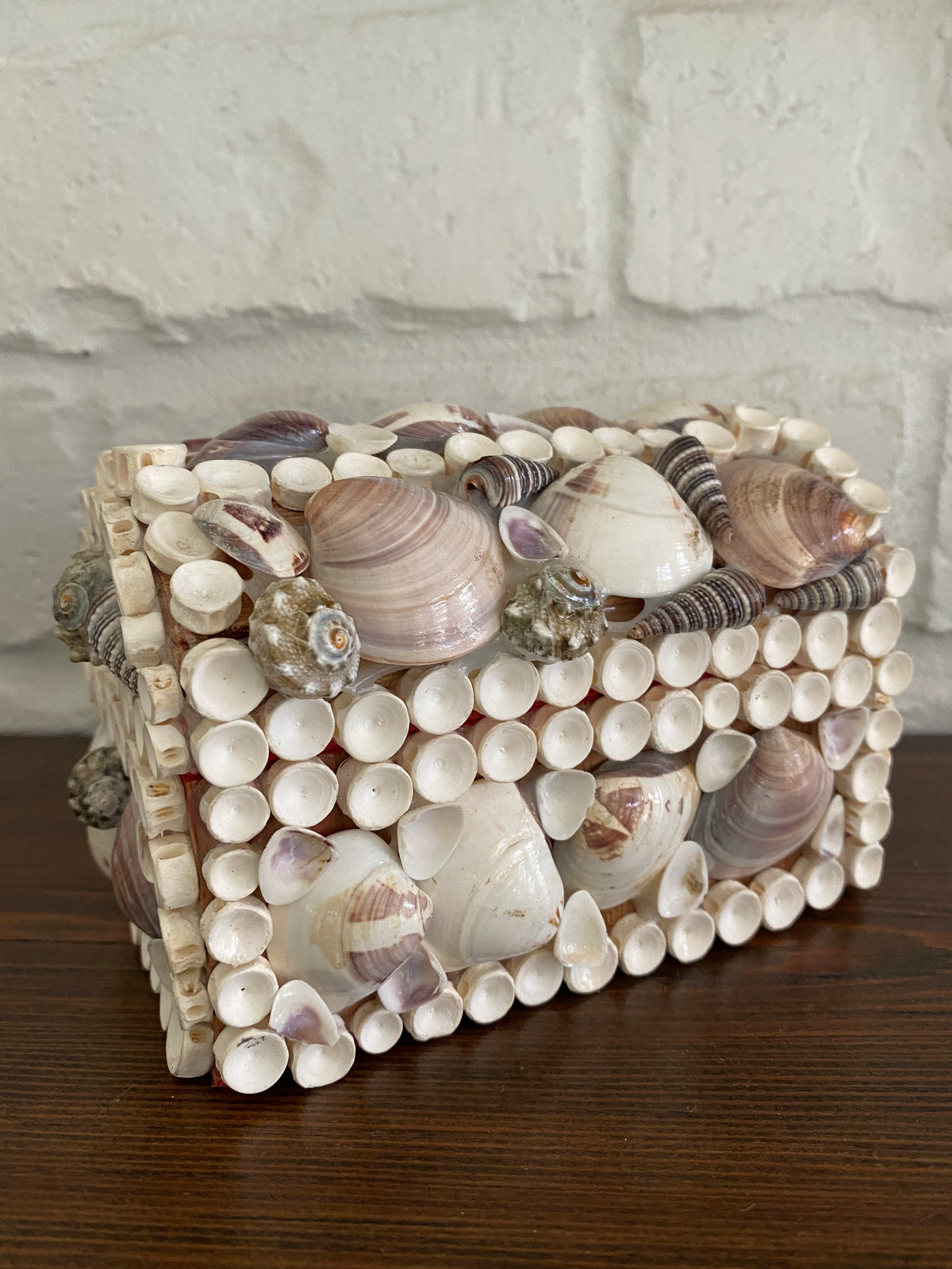 Vintage Shell Box – One of a Find Charleston
